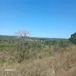 Prime Land for Sale in Kibiti, Pwani - Road Access - 4