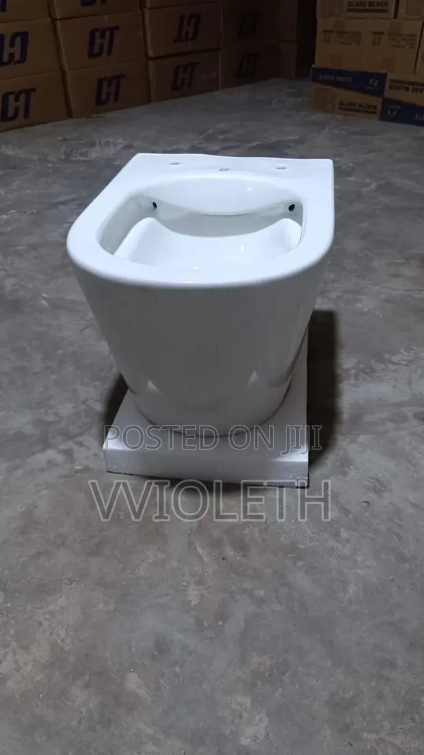 Wall Hung Toilet with Concealed Tank - 1