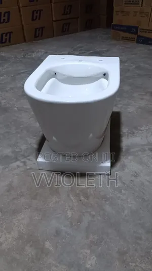Wall Hung Toilet with Concealed Tank