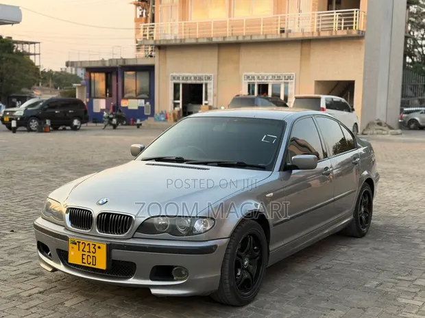 BMW 3 Series 2010 Gray - 1