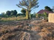 Kiwanja Bora Kinauzwa: TZS 6M Goba Tegeta A - 1