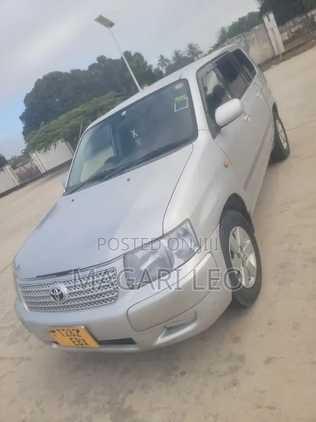Toyota Probox 1.3 DX 2WD 2005 Silver - 1