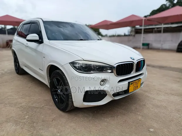 BMW X5 2015 Pearl - 1
