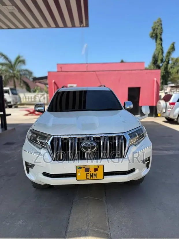 Toyota Land Cruiser Prado 2019 Pearl - 1