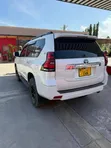 Toyota Land Cruiser Prado 2019 Pearl - 4