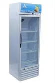 Delta Showcase Fridge Single Door 220 Liters - 2