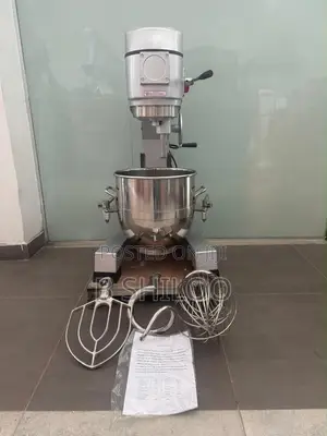 Commercial Heavy Duty Food Mixer B40