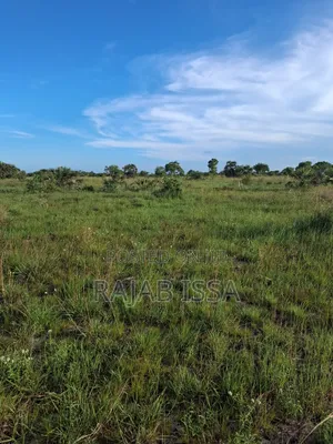 Land Plot for Sale - 2170 sqm, Pemba Mnazi