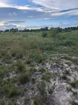 Land Plot for Sale - 2170 sqm, Pemba Mnazi - 4