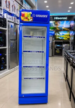 Snowsea Showcase Refrigerator 280L LC28