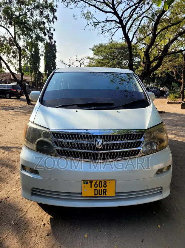 Toyota Alphard 2004 Pearl - 1