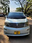 Toyota Alphard 2004 Pearl - 1