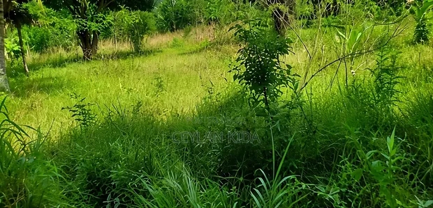 Residential Plot 35x15 sqm, Majoe Relini, Dar Es Salaam - 1