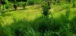 Residential Plot 35x15 sqm, Majoe Relini, Dar Es Salaam - 1
