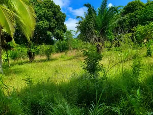Residential Plot 35x15 sqm, Majoe Relini, Dar Es Salaam