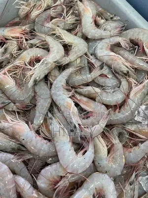 White Prawns for Wholesale and Retail