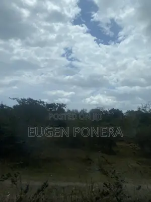 Eight Acres of Land for Sale in Kiwangwa, Bagamoyo