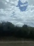 Eight Acres of Land for Sale in Kiwangwa, Bagamoyo - 2