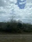 Eight Acres of Land for Sale in Kiwangwa, Bagamoyo - 3