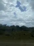 Eight Acres of Land for Sale in Kiwangwa, Bagamoyo - 5