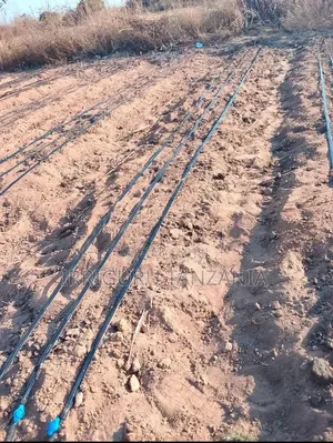 Drip Irrigation Lines - Brand New
