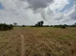 Eneo Linauzwa Kigamboni Dege - 1