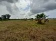 Eneo Linauzwa Kigamboni Dege - 2
