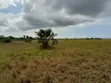 Eneo Linauzwa Kigamboni Dege - 3