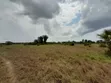 Eneo Linauzwa Kigamboni Dege - 4