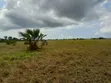 Eneo Linauzwa Kigamboni Dege - 5