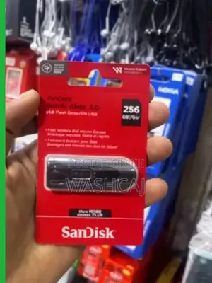 SanDisk 256GB USB 3.0 Flash Drive