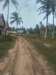 Land for Sale in Mwera, Zanzibar - 1