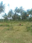 Land for Sale in Mwera, Zanzibar - 3