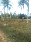 Land for Sale in Mwera, Zanzibar - 4