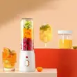 Portable Rechargeable Blender - 1