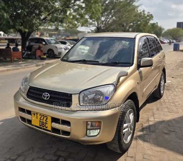 Toyota RAV4 2001 Gold - 1