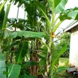 3-Bedroom Farm House for Sale in Mwandege, Vikindu - 1