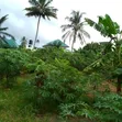 3-Bedroom Farm House for Sale in Mwandege, Vikindu - 2