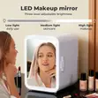 Mini Fridge 220V Home / 12V Car with Makeup Mirror & LED Light - 3
