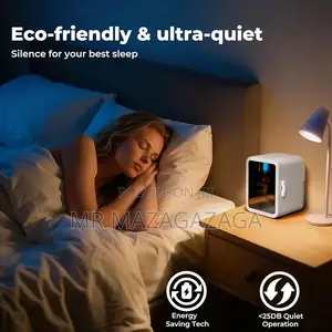 Mini Fridge 220V Home / 12V Car with Makeup Mirror & LED Light