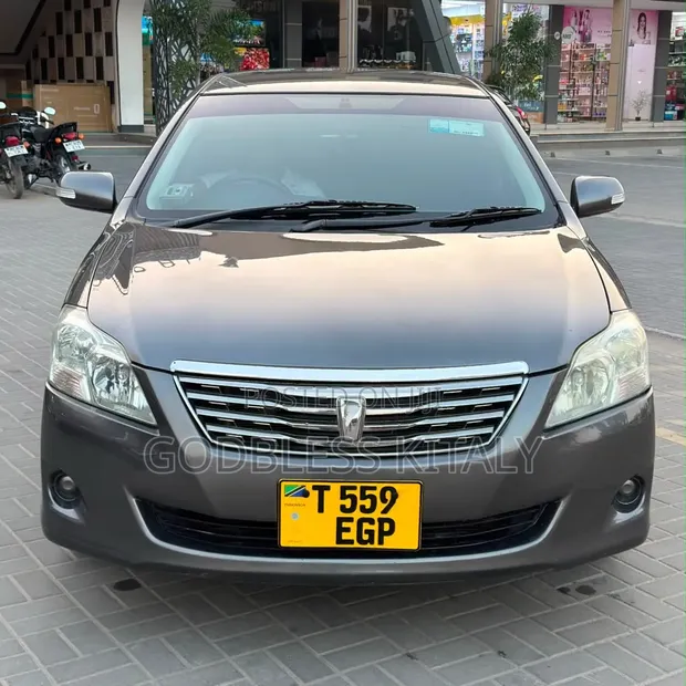 Toyota Premio 2008 Gray - 1