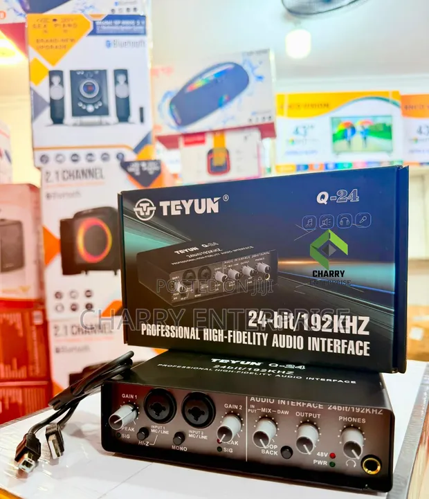 TEYUN 2-Way Professional High Fidelity Audio Interface - 1