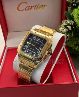 Santos de Cartier - Silver & Navy Gold