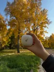 Soundcore Liberty 4 Pro NC Wireless Earbuds - 1