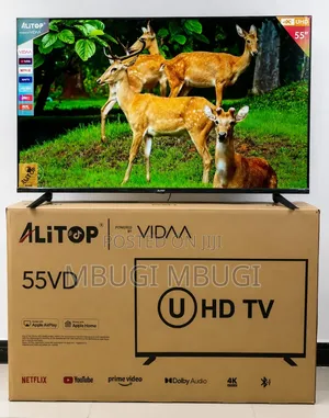 Ito 55-Inch TV