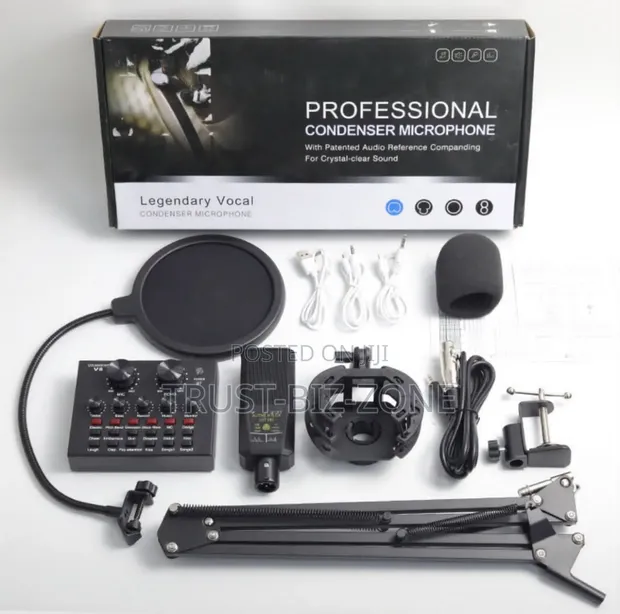 Studio Condenser Microphone Kit - 1