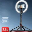 Rechargeable Selfie Tripod Light - 1