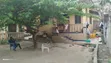 5-Bedroom House for Sale in Mbezi Malamba Mawili, Kinondoni - 4