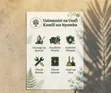 Rooted Living: Professional Garden Maintenance Dar es Salaam - 2
