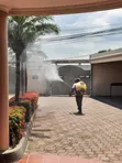 Rooted Living TZ: Fumigation Services in Dar es Salaam - 1